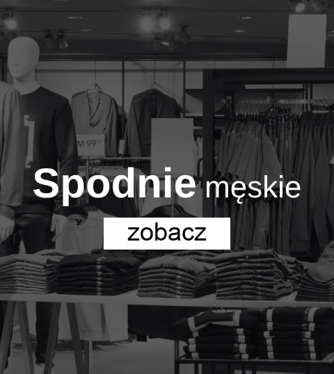 Spodnie męskie